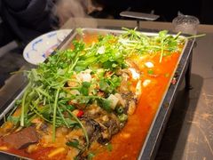 -炉鱼(萧山万象汇店)