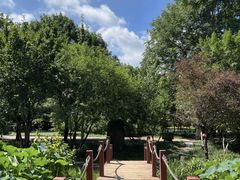 -洛阳市隋唐城遗址植物园