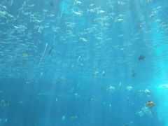 -瑞德姆美人鱼海底演艺主题餐厅(亚龙湾店)
