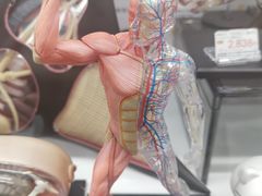 -秋叶原电器街