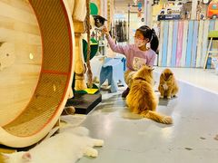 -小时光咖啡馆(开森度假森林店)