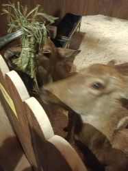 -长沙云顶星河游乐园(步步高·梅溪新天地店)