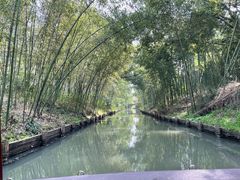 -同里国家湿地公园