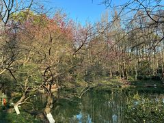 -杭州植物园