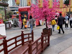 -霸王茶姬(正佳广场店)
