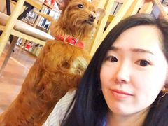 -萌喵宠狗爱心宠咖