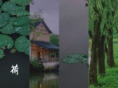 -西溪国家湿地公园