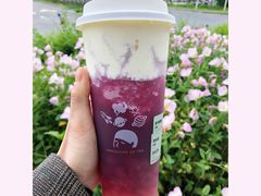 -喜茶(永旺梦乐城店)