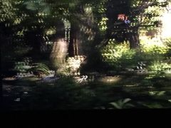 -时代华纳国际影城(鹏晖广场店)