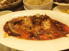 红烧晶鱼-皇朝海鲜酒店