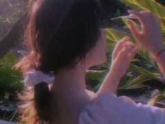 -黄埔荔枝公园