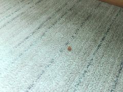 -武汉马哥孛罗酒店