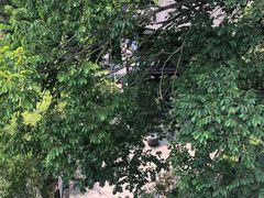 -禅宗三祖寺
