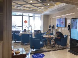 -碧莲盛·不剃发植发