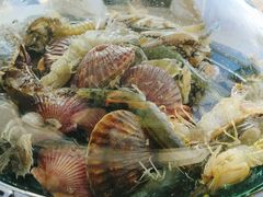 -前王院•巧克力海鲜市集餐厅(万平口店)