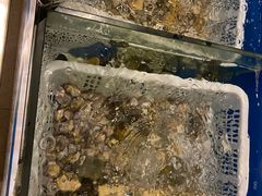 -安蒂娅·海鲜自助餐厅(安蒂娅美兰酒店)