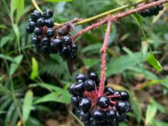 -韶关经律论国际酒店温泉