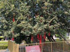 -西安汉城湖景区