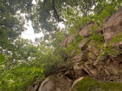 -北京鹫峰国家森林公园