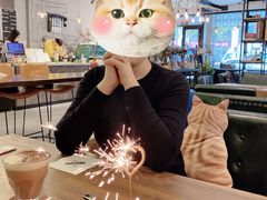 -之悦咖啡馆(新星宇·之洲店)