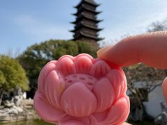 -常熟方塔园
