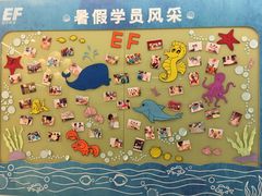 -英孚教育青少儿(南坪中心)