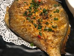 -九府羊·鲜羊火锅·烤串(新华路店)