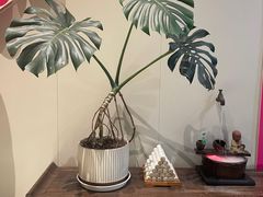 -莱蔻·圣灸堂·推拿艾灸(天山店)