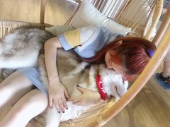 -Husky Go! 哈士奇体验馆·宠物咖啡厅狗咖