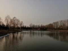 -东郊湿地公园