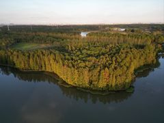 -上海海湾国家森林公园