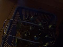 -黑森林酒吧(新迎店)