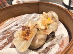 -新兴·金羊座·粤菜点心(乐峰店)
