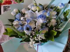 -奔驰利星行(北京花乡店)