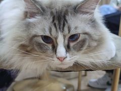 -白兔子密室(长寿路店)