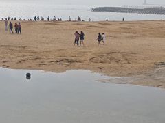 -日照灯塔风景区