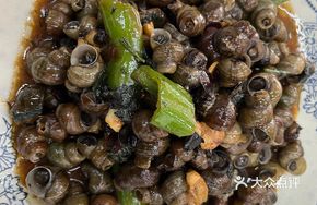 Perilla Snail