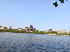 -莲花池公园