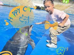 -北戴河圣蓝海洋公园