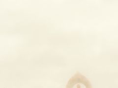 iphone_upload_pic-东林大佛