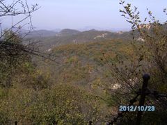 -鲁山国家森林公园