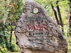 -南阳卧龙岗武侯祠