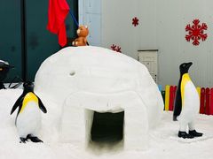 -哈尔滨热雪奇迹