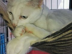 -赢吧Bliss音乐酒吧