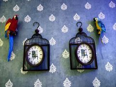 -自由港KTV(王子公主金平店)