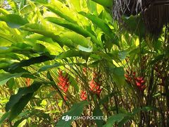 -大象粑粑造纸公园