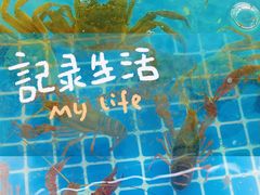 -品鲜村农家菜·阳澄湖大闸蟹(总店)