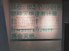 -烟台自然博物馆