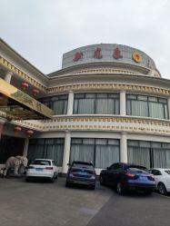 -龙象盛宴大酒店·宴会厅