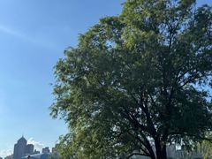 -长白岛森林公园